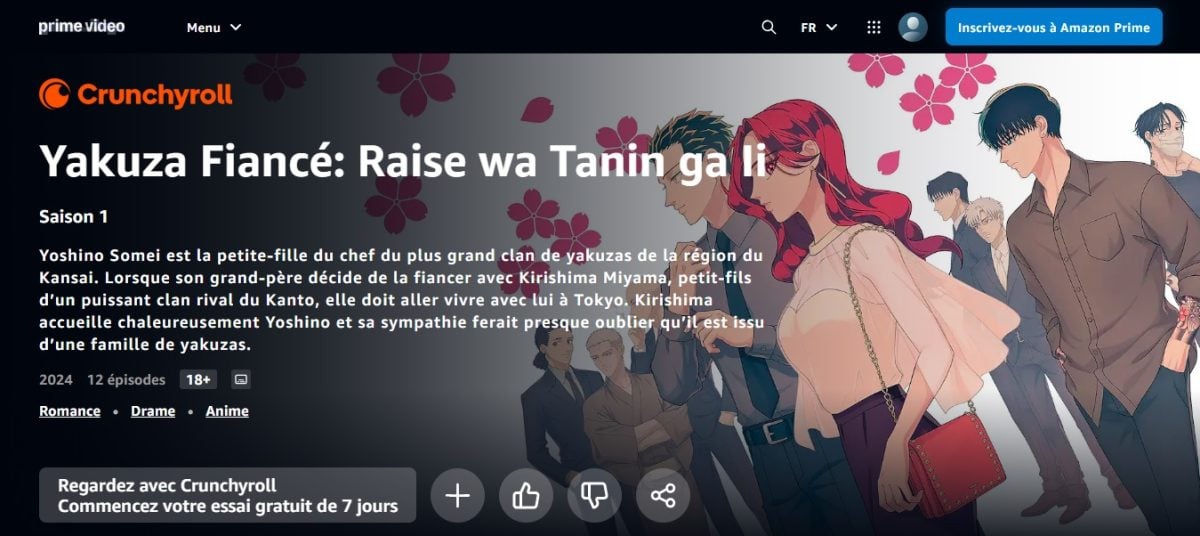 Noivado Criminoso (Yakuza Fiancé) no Prime Video France