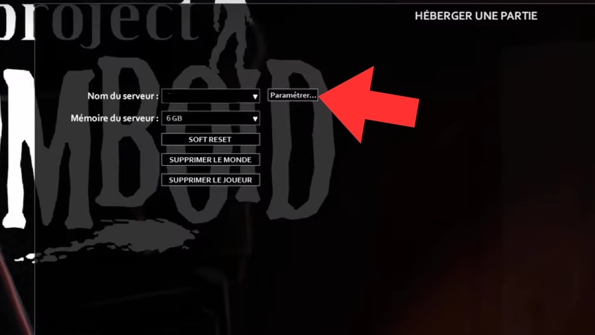 project zomboid parametrisieren