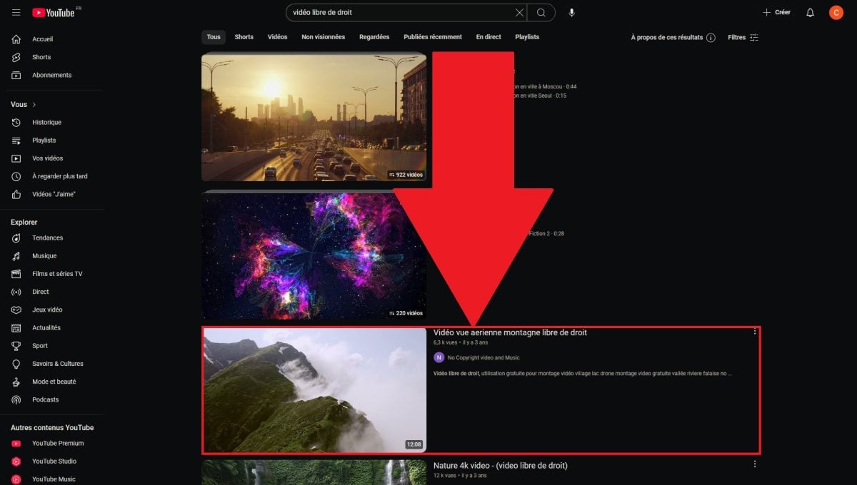O vídeo online que utilizaremos como exemplo para este tutorial. ©️Dramsey para Alucare.fr