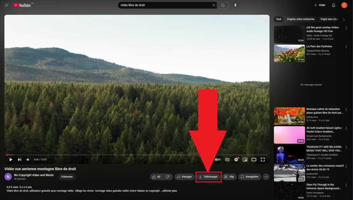O botão para descarregar o vídeo em questão. ©️Dramsey para Alucare.fr