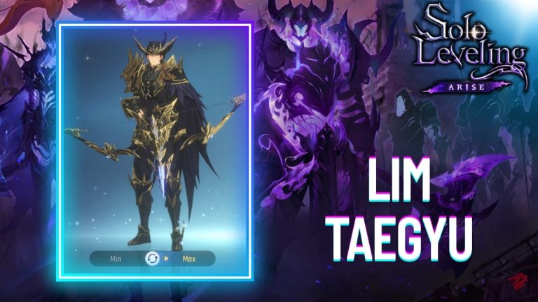 Lim Taegyu Solo Leveling Arise, Guide, presentation and skills