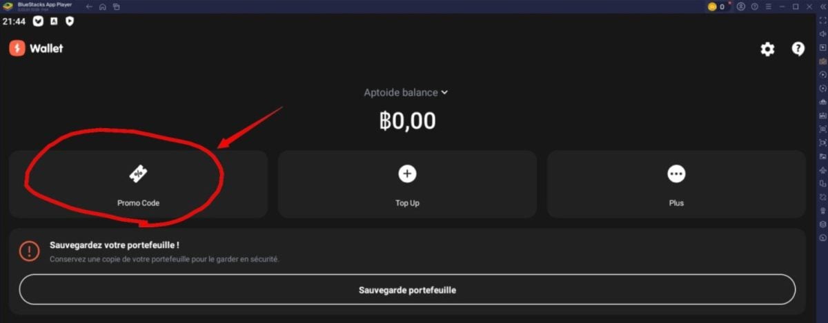 1. Ir al código promocional