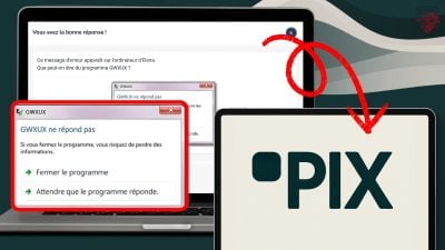 Was kann man über das Programm GWXUXX [Pix-Zertifizierung] - sagen?