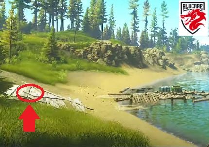 Dónde colocar la cámara