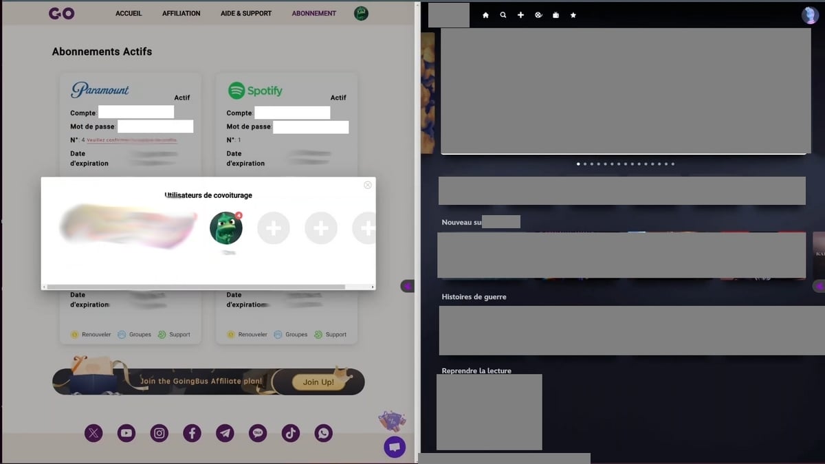 Akses terkonfirmasi ke konten pada platform yang dipilih.
