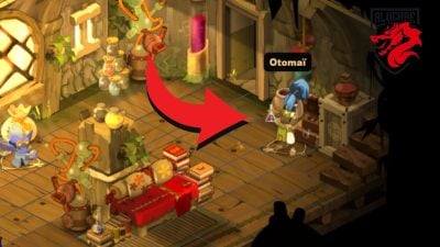 После него наводнение Dofus Quest