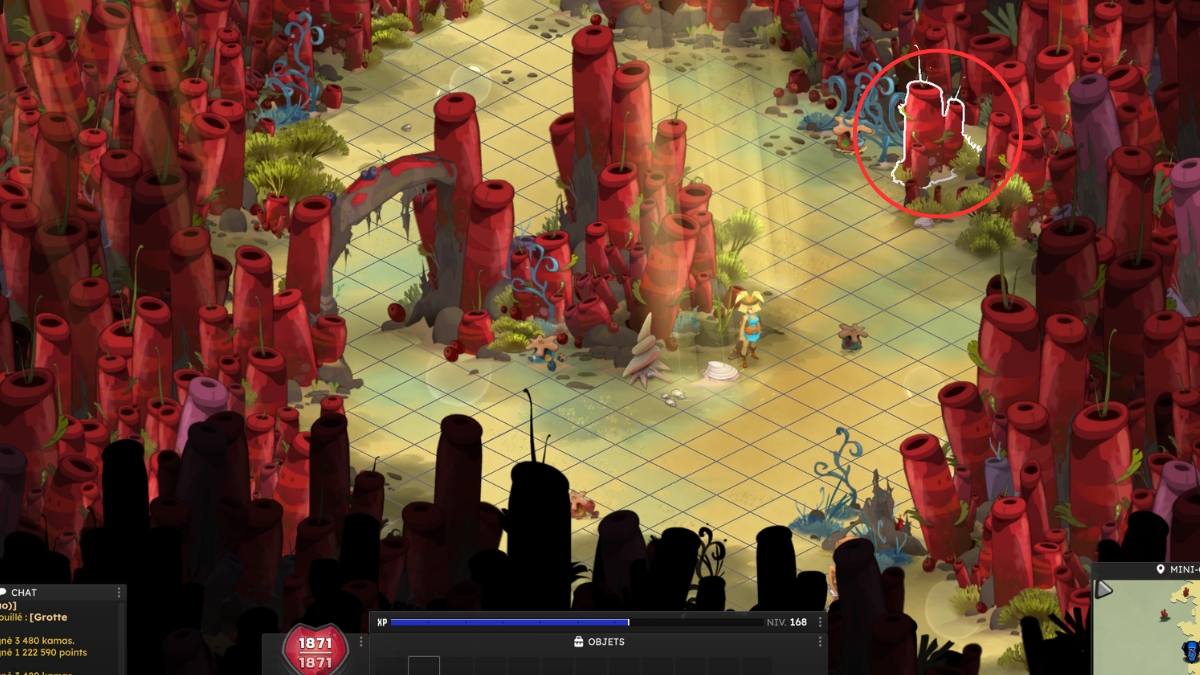 dofus Korallenflut