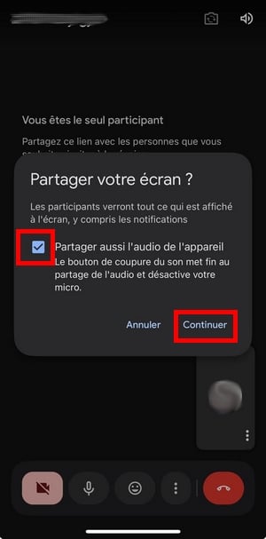 Confirmer le partage de son puis Continuer
