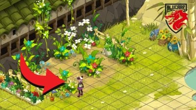 Dites-le avec des fleurs Quête Dofus