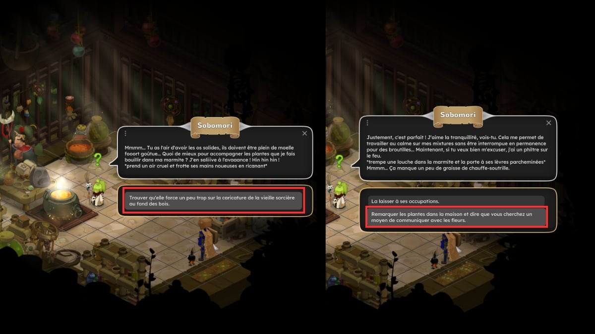 dofus pandala 对话女巫花