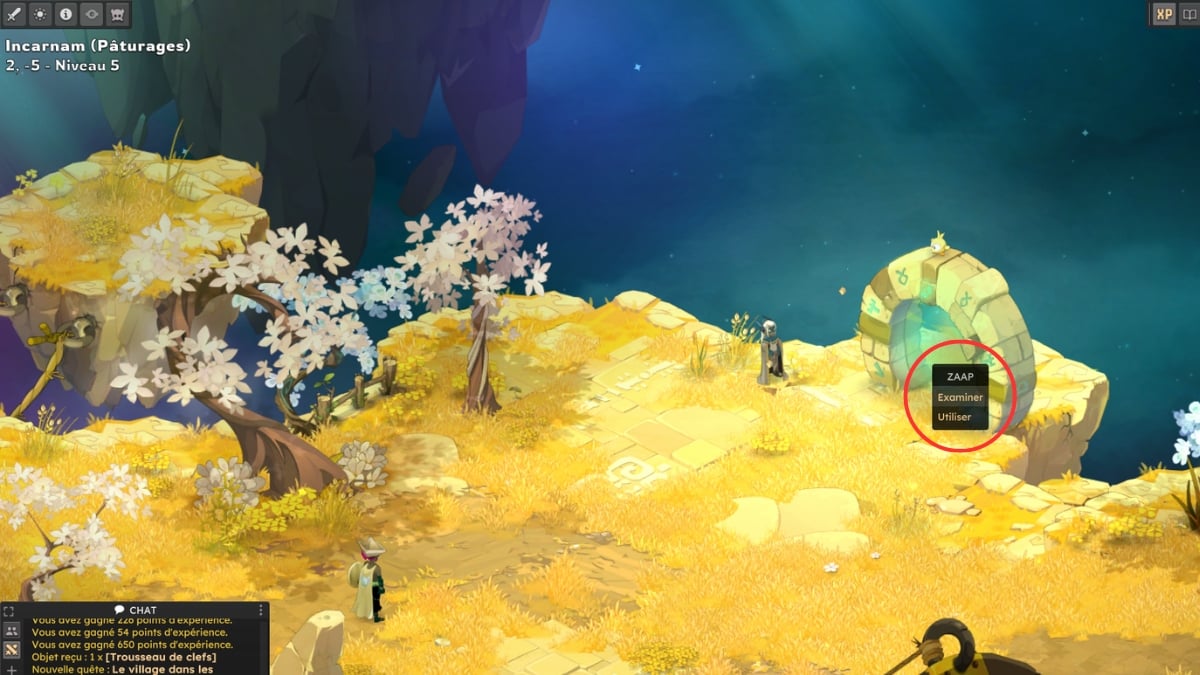 dofus examiner zaap