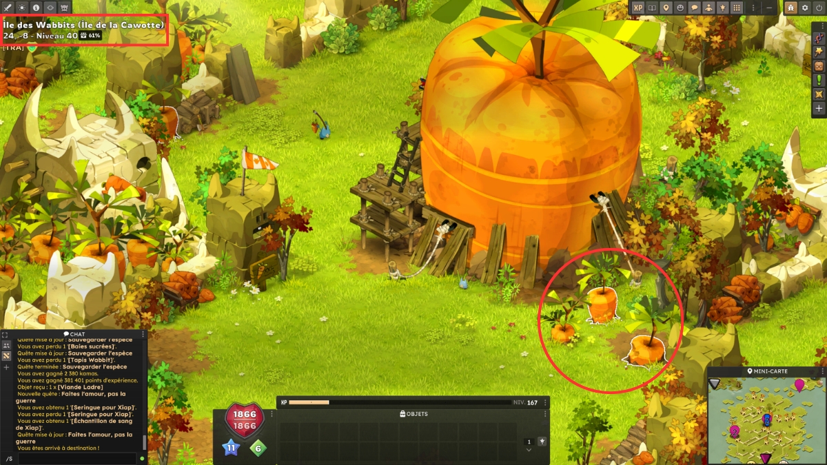 dofus cawotte maduro