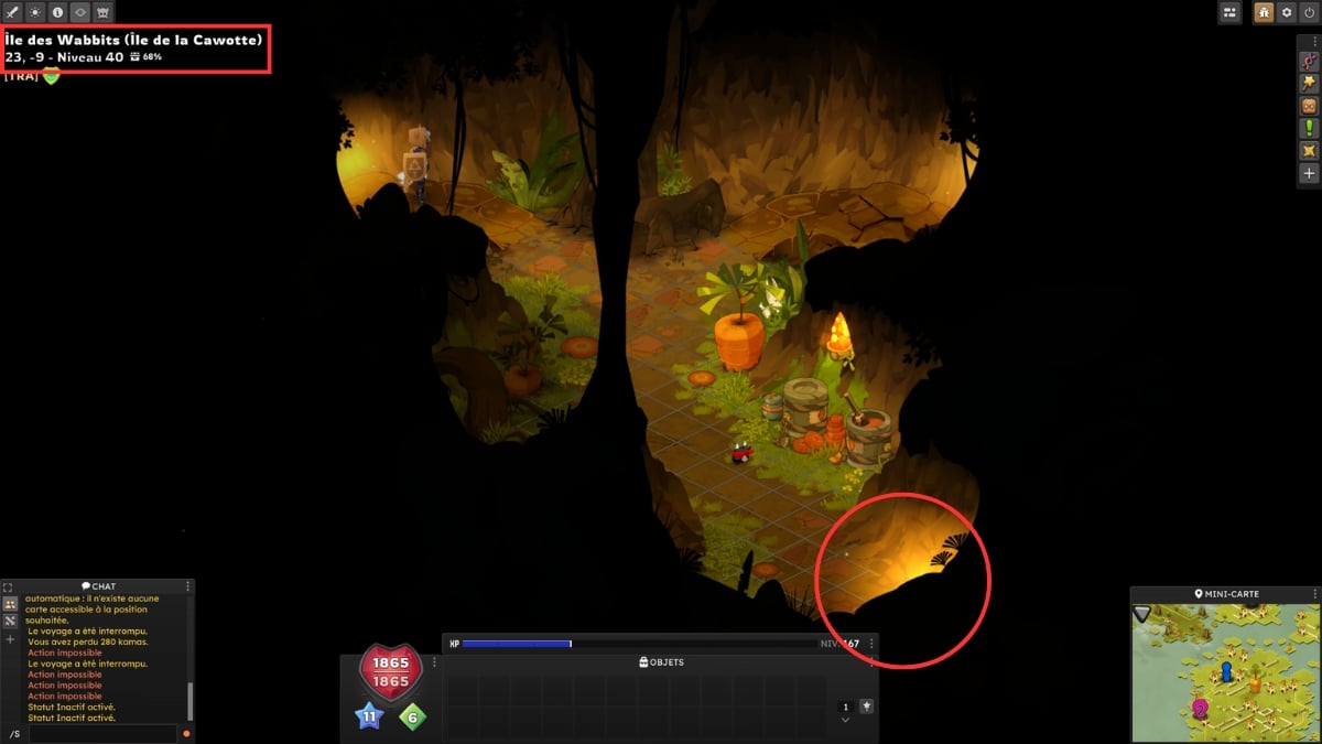 dofus path 1 wabbit preso