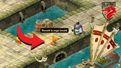 La magicienne des marécages Quête Dofus