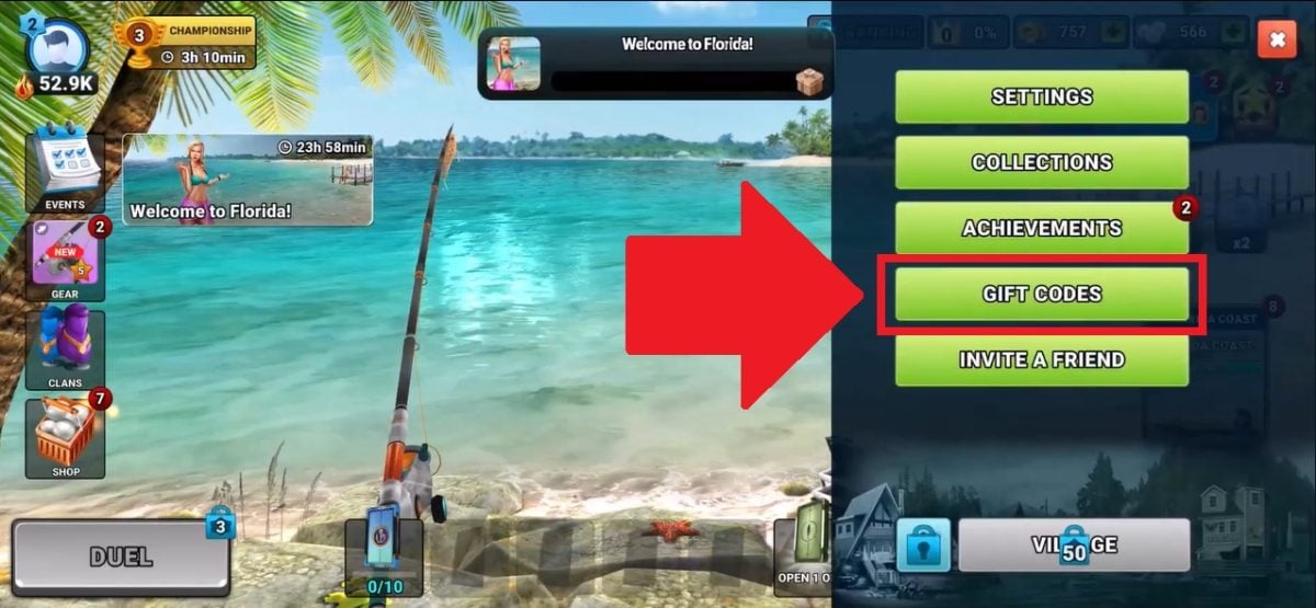 Aparecerá imediatamente uma pequena janela a pedir o código de oferta do Fishing Clash.