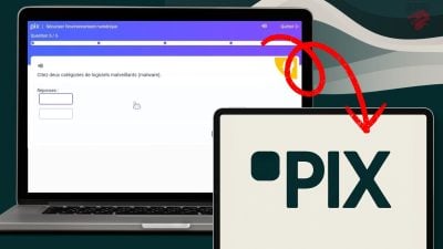 PIX Citez deux catégories de logiciels malveillants (malware) -
