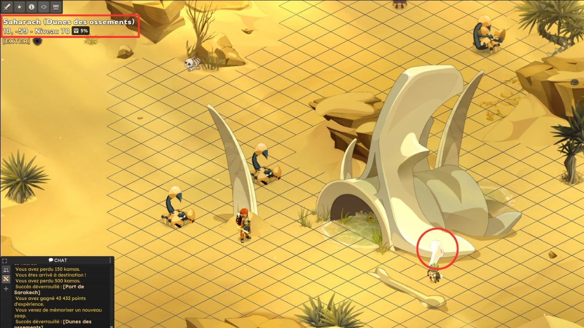 dofus Knochenentnahme aus dem Oberschenkelknochen