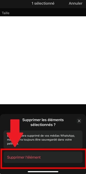 Eliminar multimédia do WhatsApp no iPhone