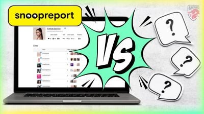 Каковы лучшие альтернативы Snoopreport?