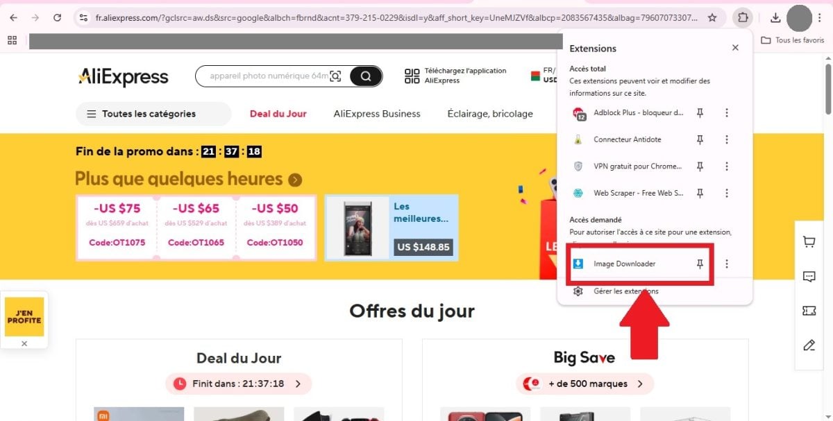 Cliquez sur l'icône Image Downloader pour lancer l'extension