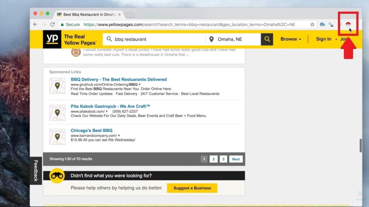 L'icône Instant Data Scraper ressemble à une Poké Ball ! 