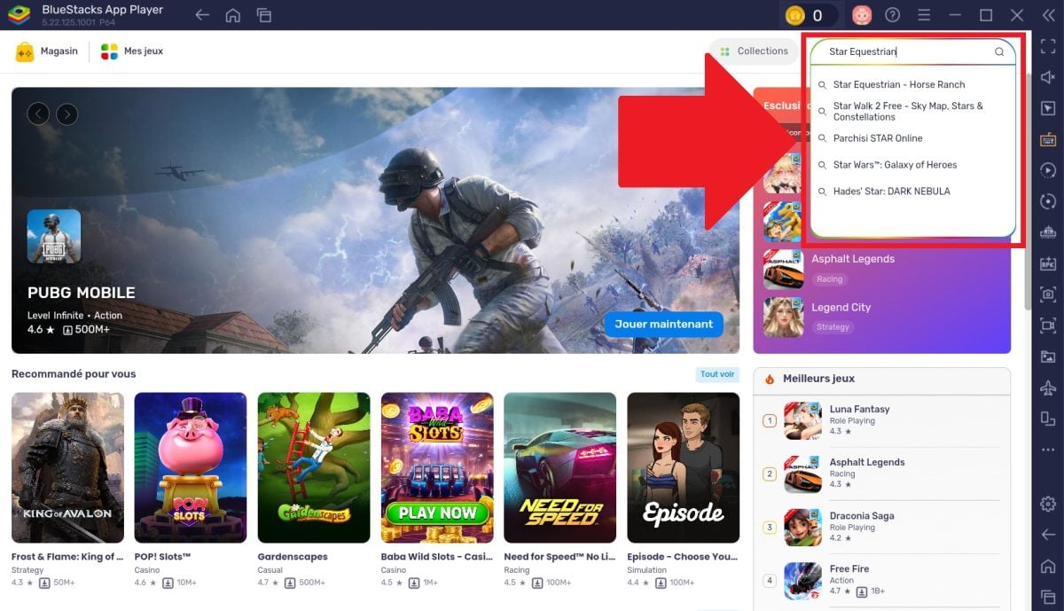 Cliquez sur Star Equestrian - Horse Ranch.