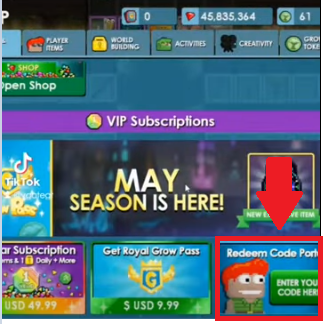 La case Redeem Code en bas à droite