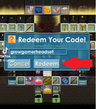 Le bouton Redeem Code