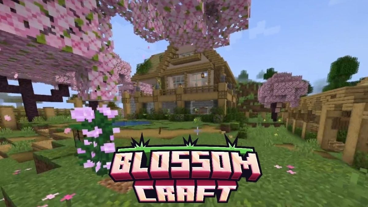 BlossomCraft, serveren Minecraft.