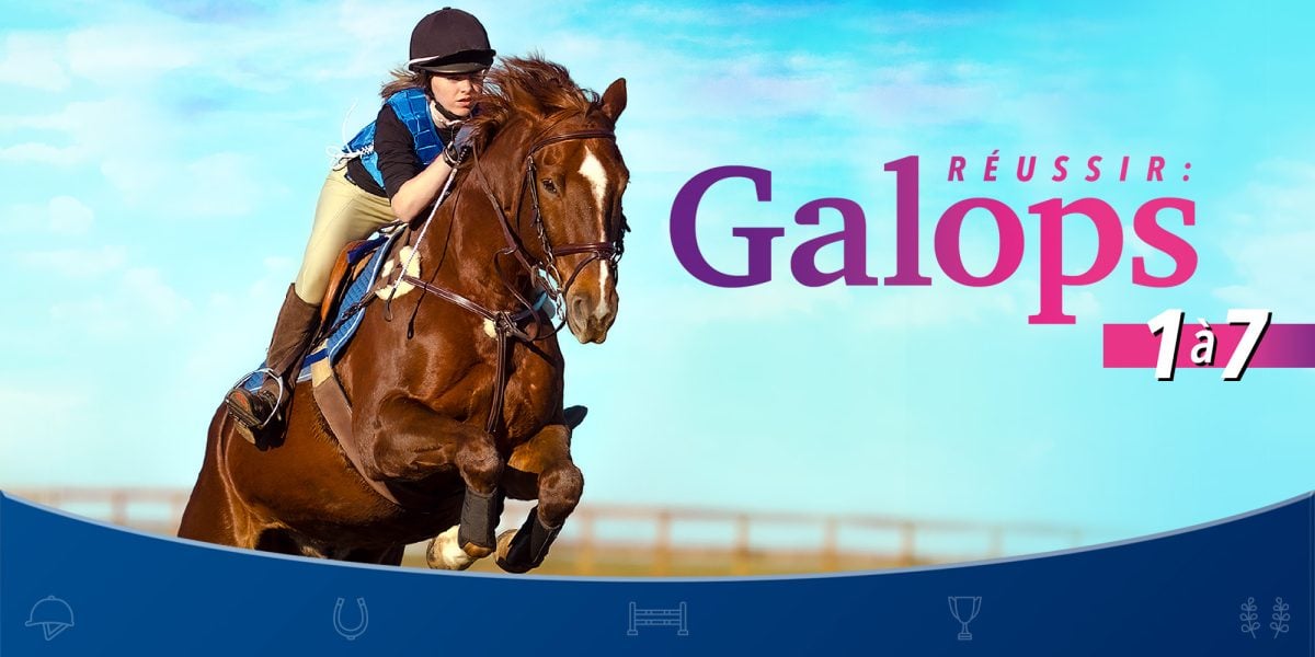 Succeed: Galops 1 to 7, the best horse game on Switch