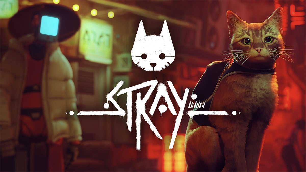 Stray