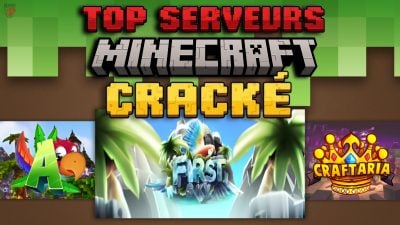 Top-Server Minecraft geknackt