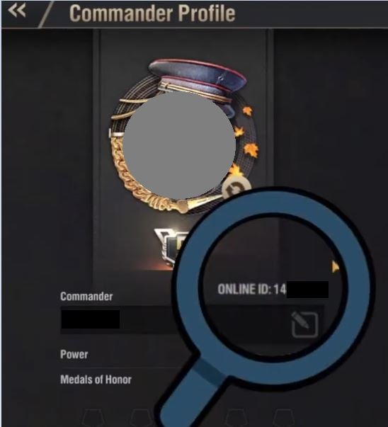 Identificación en pie de guerra