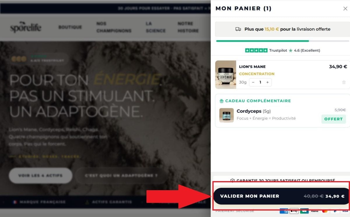 Como aceder ao seu cesto de compras no sítio Web da Sporelife.